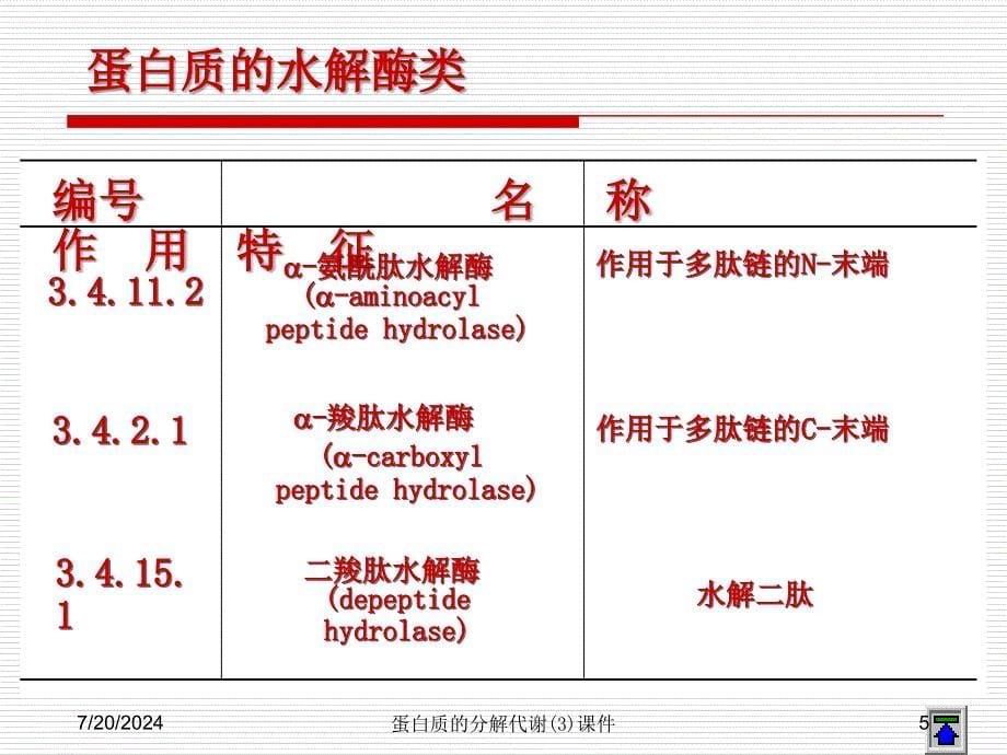 蛋白质的分解代谢(3)课件_第5页