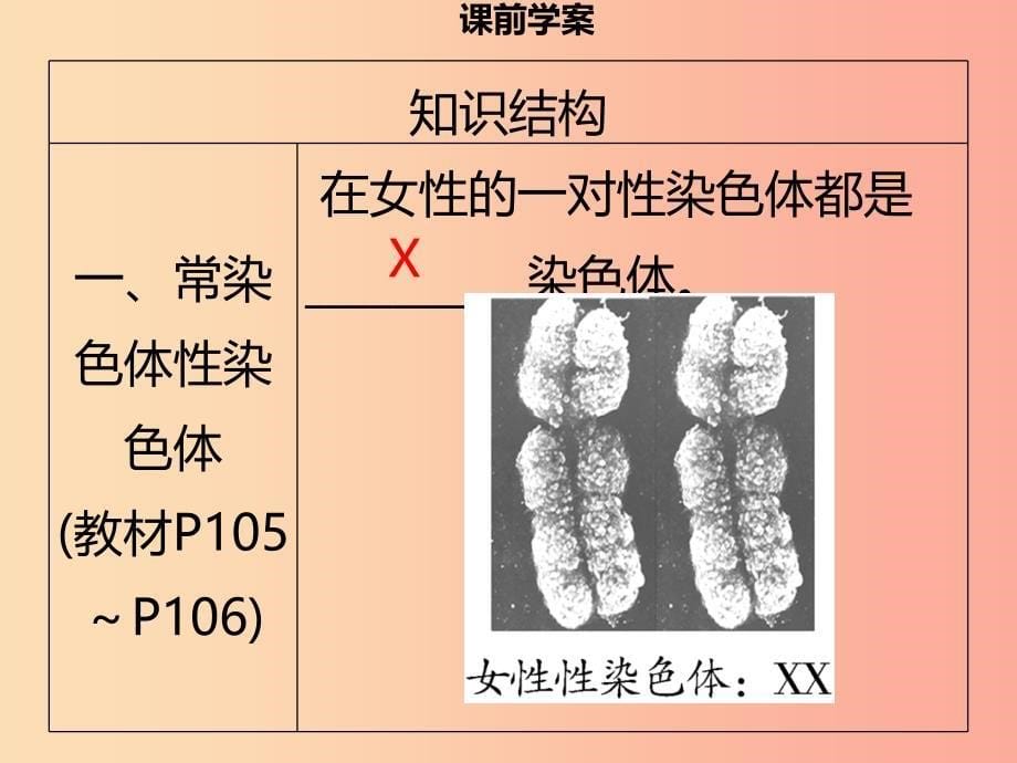 八年级生物上册第六单元第20章第4节性别和性别决定习题课件（新版）北师大版.ppt_第5页