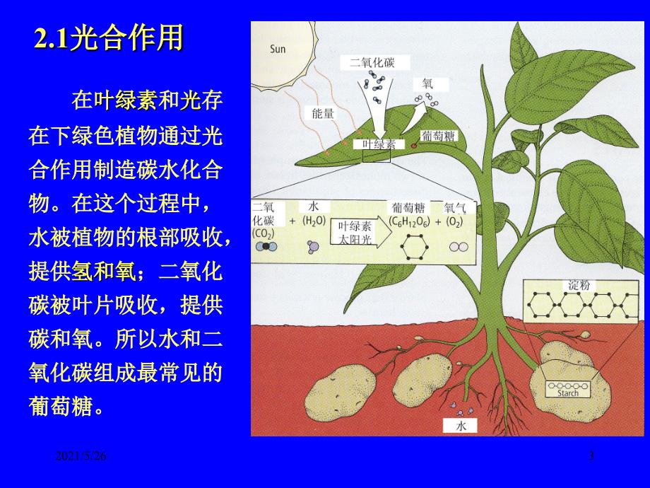 营养与健康PPT优秀课件_第3页