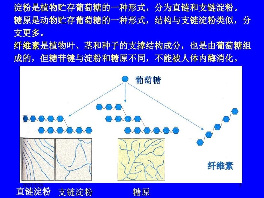 营养与健康PPT优秀课件_第5页