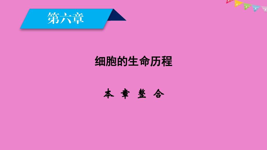 高中生物第六章细胞的生命历程本章整合课件新人教版必修1_第2页