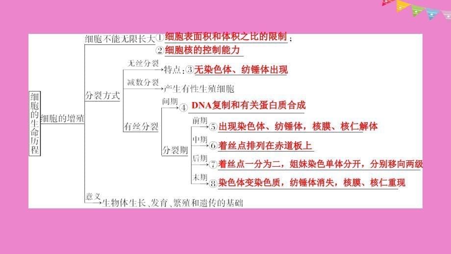 高中生物第六章细胞的生命历程本章整合课件新人教版必修1_第5页