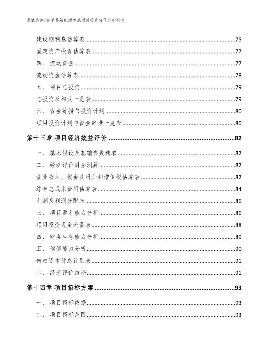 金平县新能源电池项目投资价值分析报告模板范文_第5页