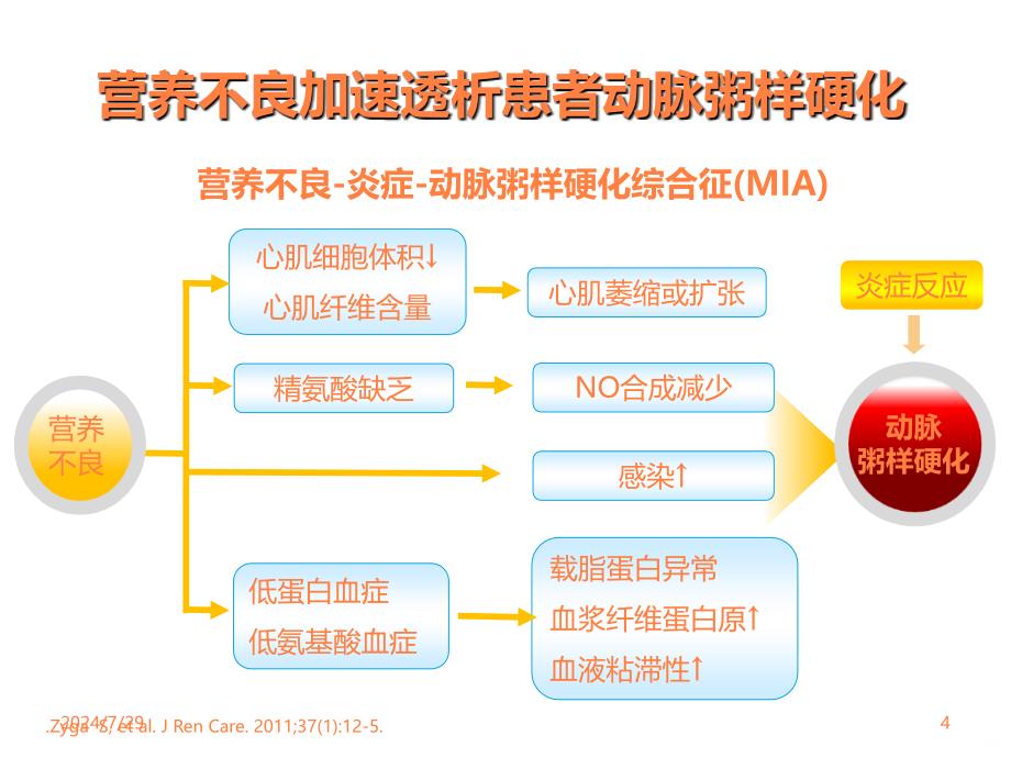 透析患者的营养治疗ppt课件_第4页