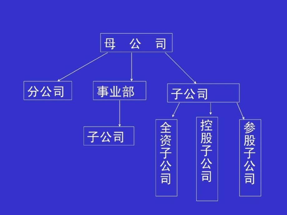 集团财务管理体制、管理与组织_第4页