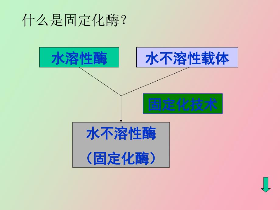 酶与细胞的固定化_第4页