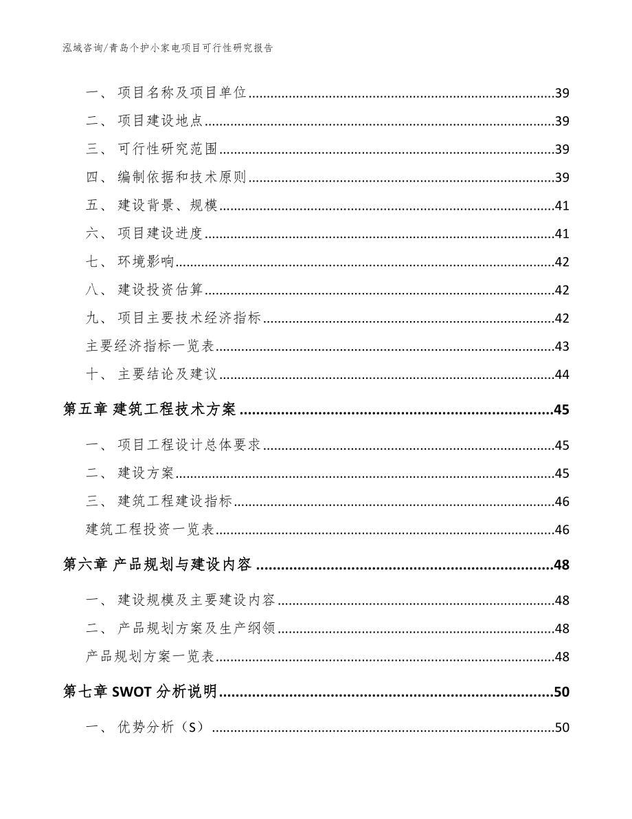 青岛个护小家电项目可行性研究报告【范文】_第2页