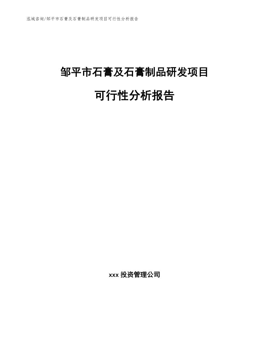 邹平市石膏及石膏制品研发项目可行性分析报告【模板参考】_第1页