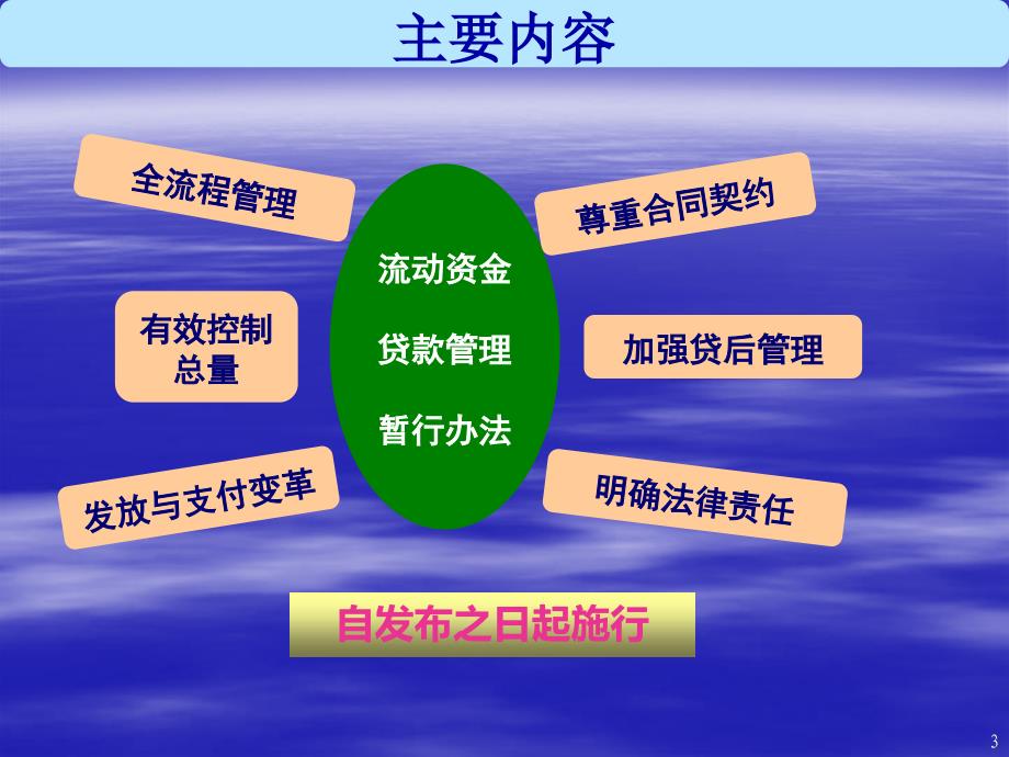 银行流动资金贷款管理暂行办法条文解读与操作执行_第3页