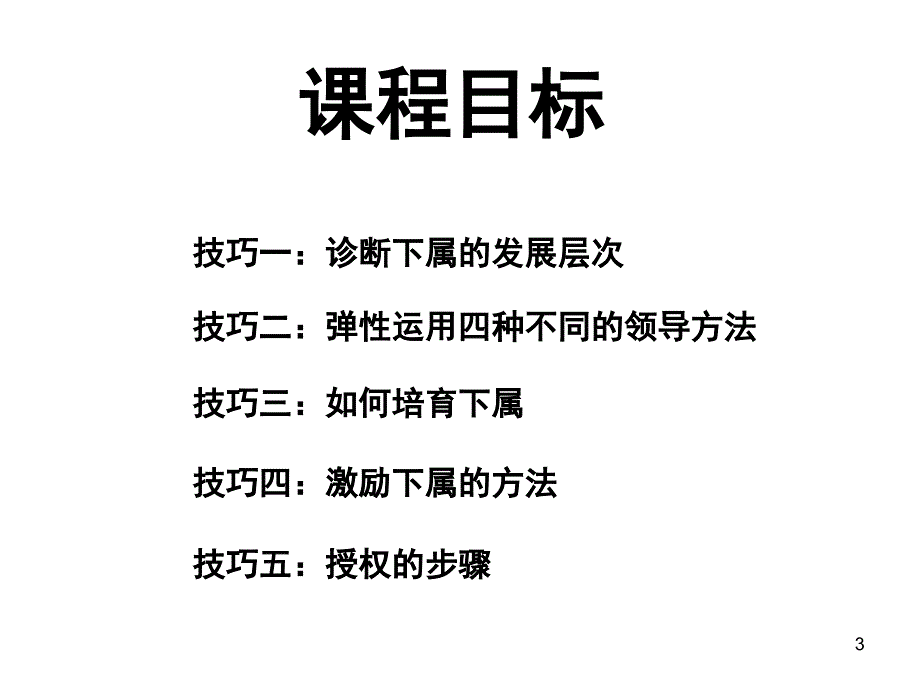 领导力修正[共115页]_第3页