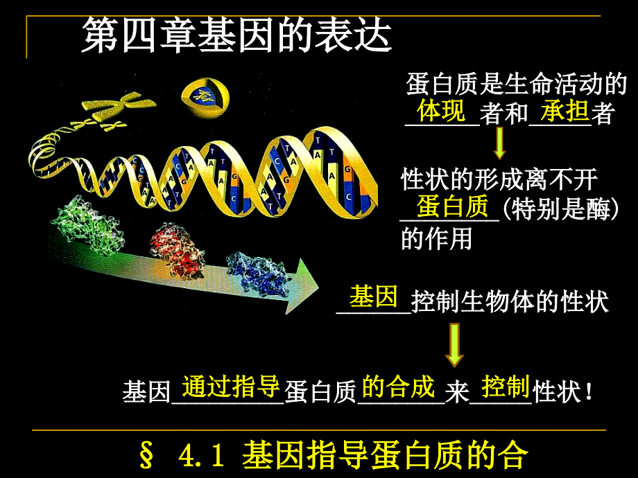 人教必修二生物第4章基因的表达第1节基因指导蛋白质的合成课件_第1页