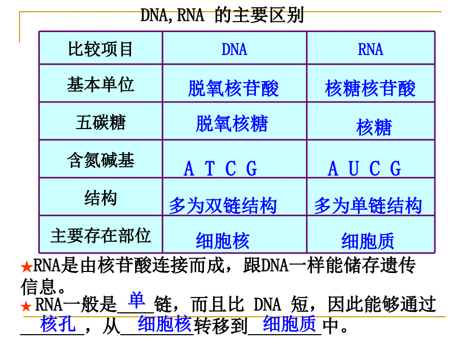 人教必修二生物第4章基因的表达第1节基因指导蛋白质的合成课件_第4页