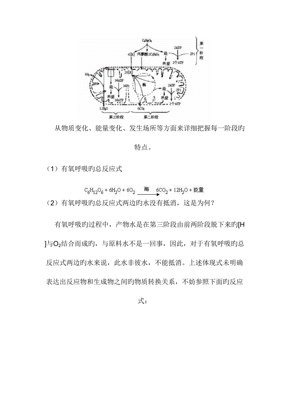 2023年细胞呼吸知识点复习及答案.doc_第2页