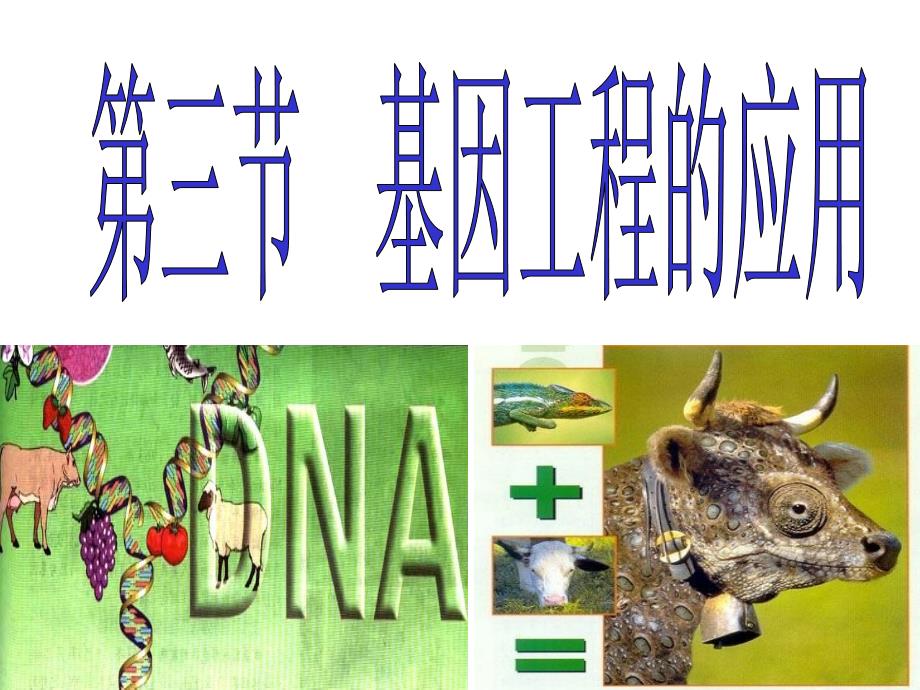 现代生物科技专题 基因工程的应用(第一章第三节)_第1页