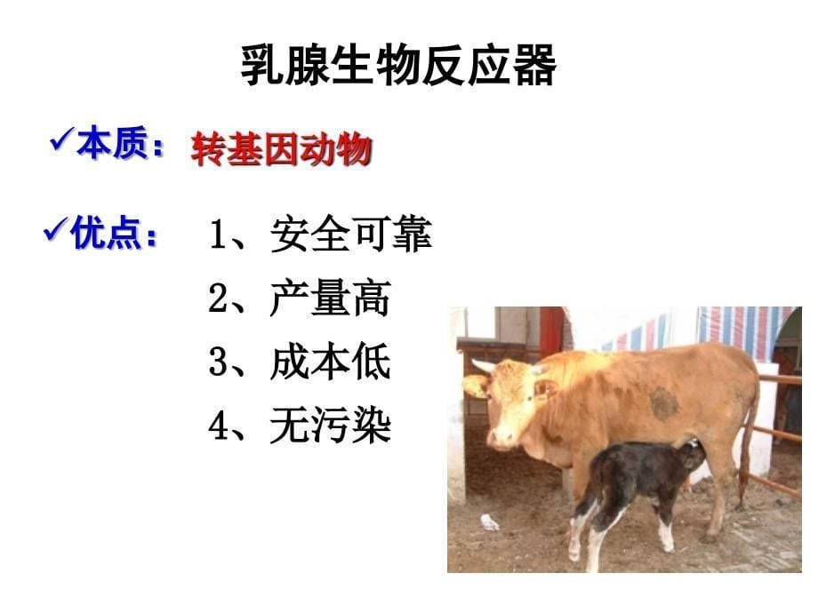 现代生物科技专题 基因工程的应用(第一章第三节)_第5页