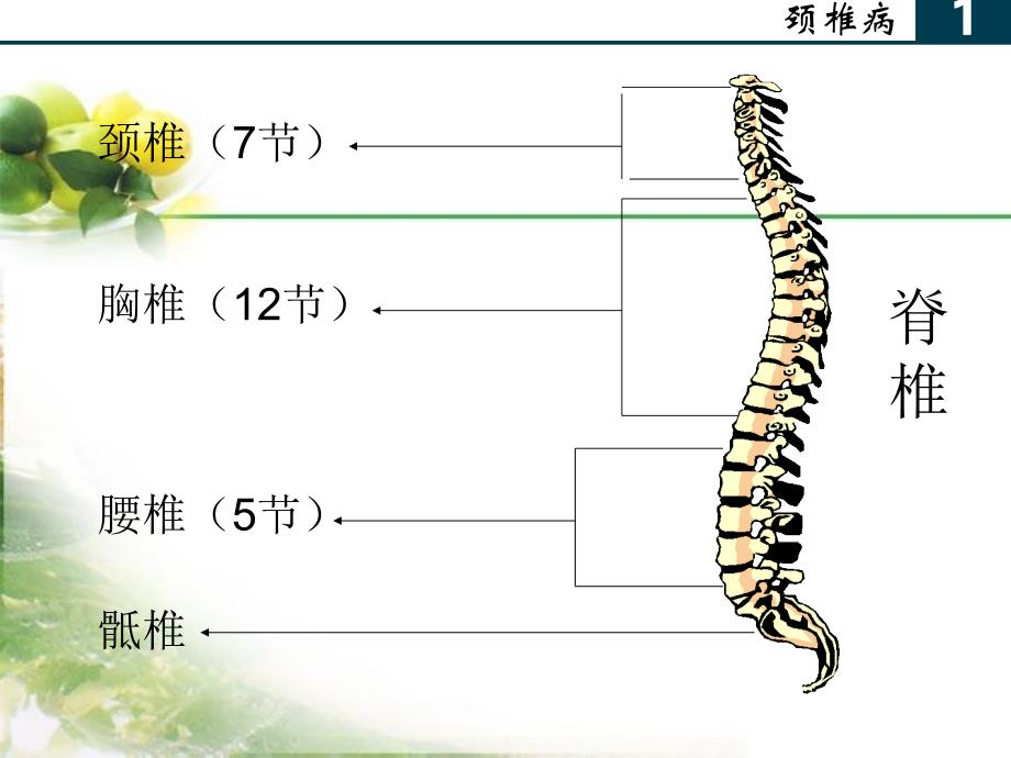 最新：办公室常见病与健康文档资料_第2页