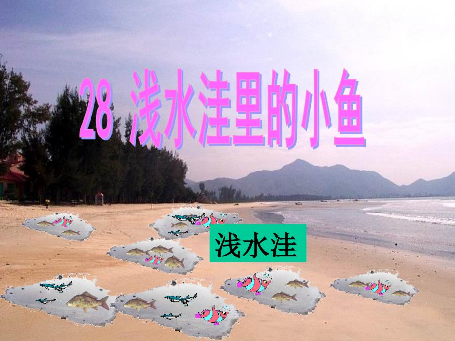 28浅水洼里的小鱼PPT课件_第1页