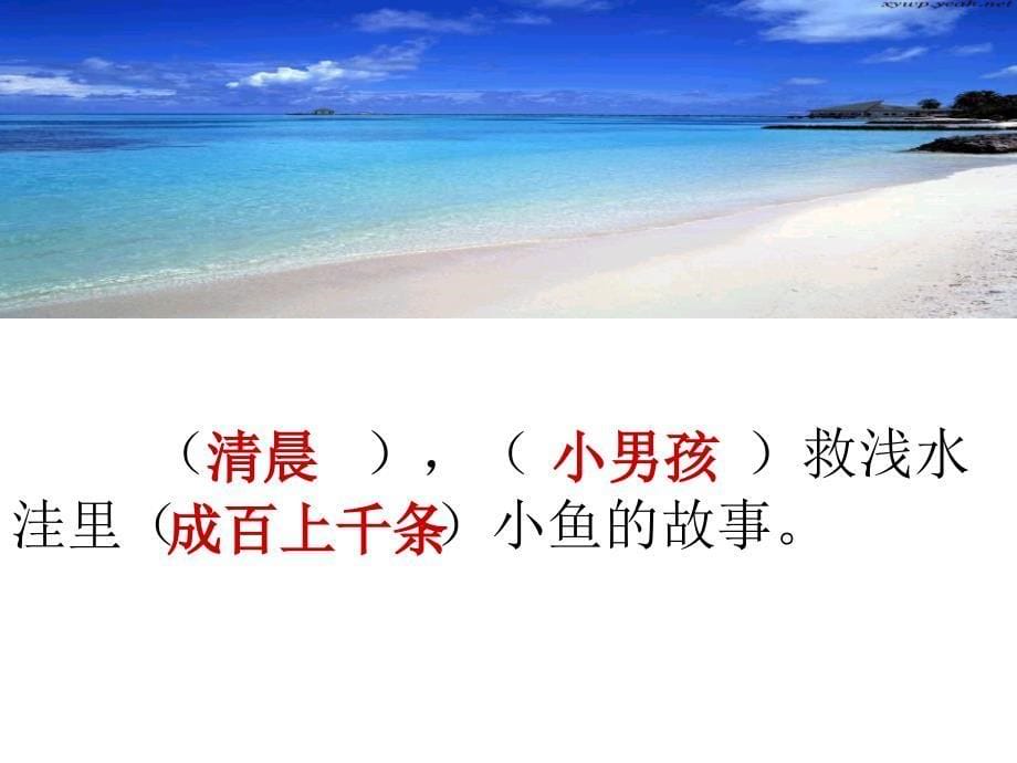 28浅水洼里的小鱼PPT课件_第5页