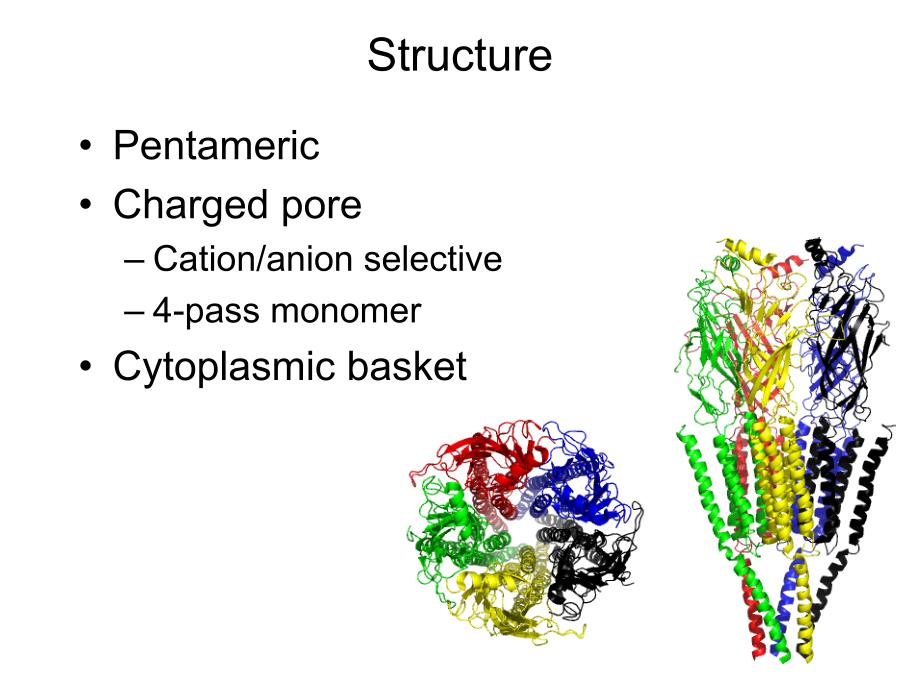 Liand gated ion channels配体门控离子通道_第2页