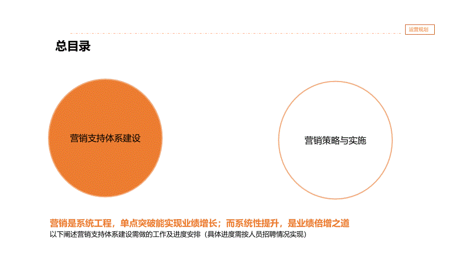 某保健品线上运营规划_第4页