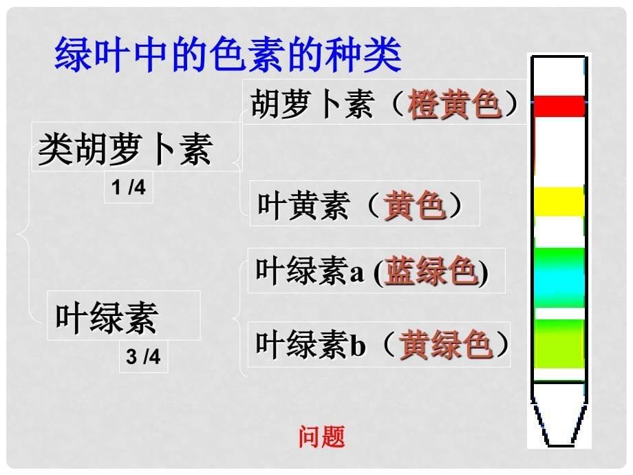 福建省长汀四中高一生物《1.5.4 能量之源 光与光合作用》课件 新人教版必修1_第5页