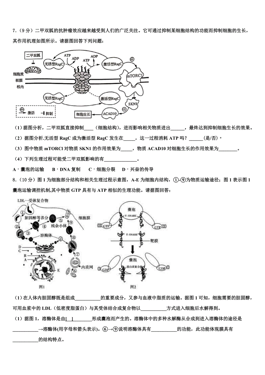 2023年四川省眉山第一中学办学共同体生物高二第二学期期末监测模拟试题（含解析）.doc_第2页