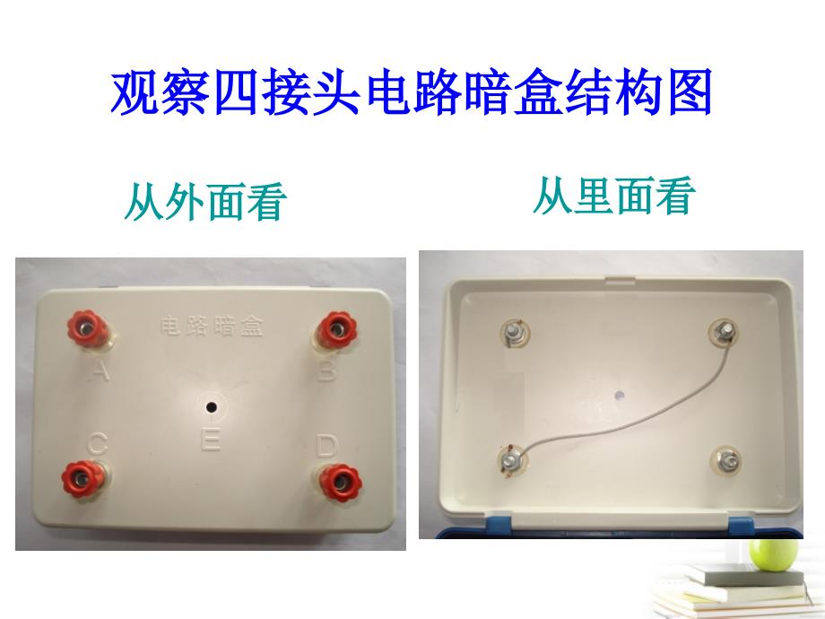 四年级科学下册第一课时课件_第3页