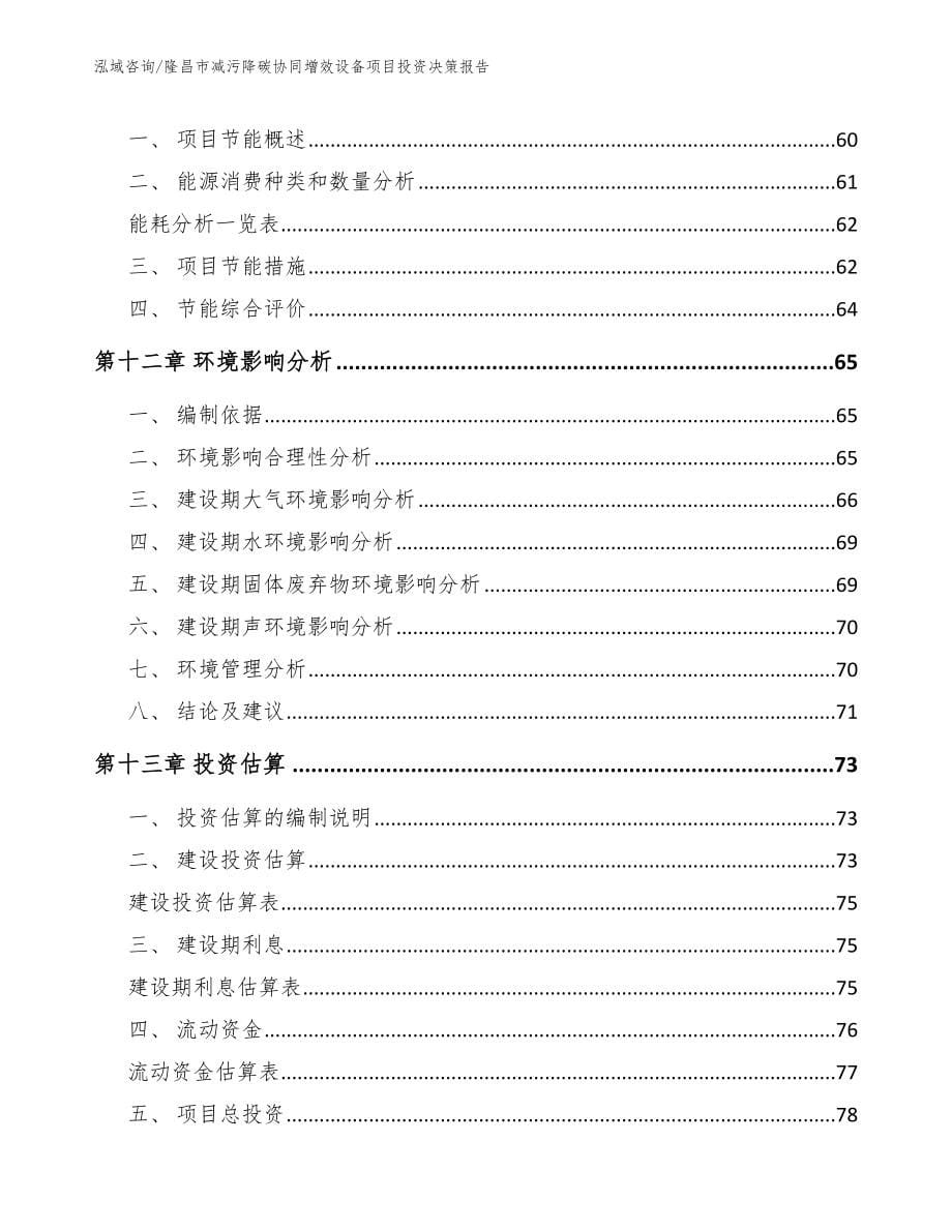 隆昌市减污降碳协同增效设备项目投资决策报告_第5页