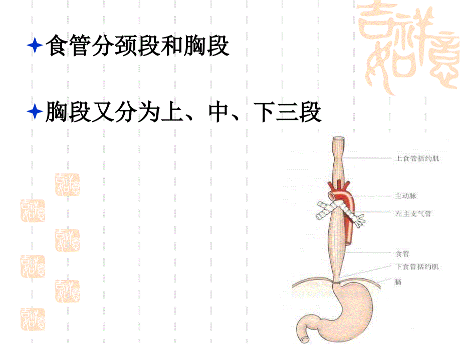 食管癌患者的护理_第2页