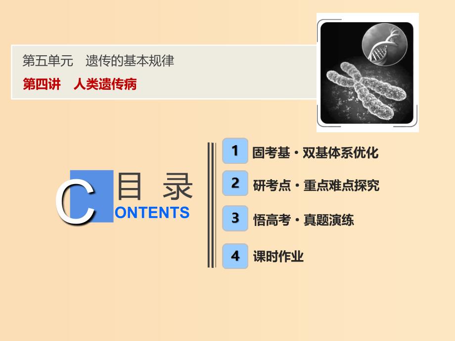 2019版高考生物一轮复习第五单元遗传的基本规律第四讲人类遗传参件苏教版.ppt_第1页