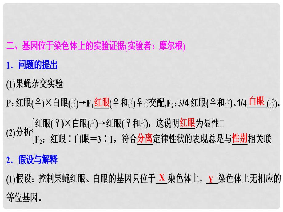 优化探究高考生物一轮复习 第五单元 遗传的传递规律 第三讲 基因在染色体上与伴性遗传课件 新人教版_第3页