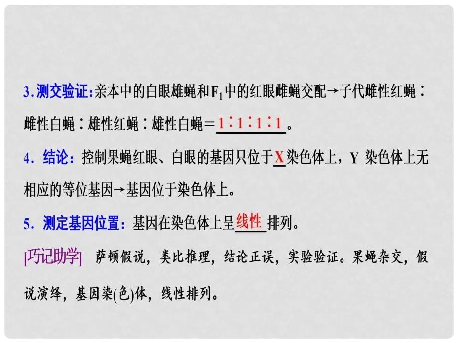 优化探究高考生物一轮复习 第五单元 遗传的传递规律 第三讲 基因在染色体上与伴性遗传课件 新人教版_第5页