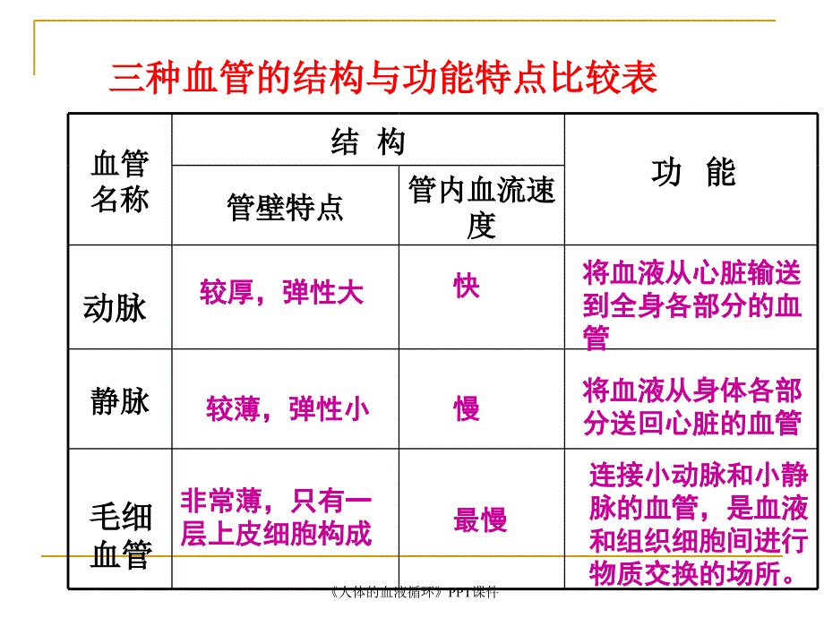 人体的血液循环PPT课件课件_第3页