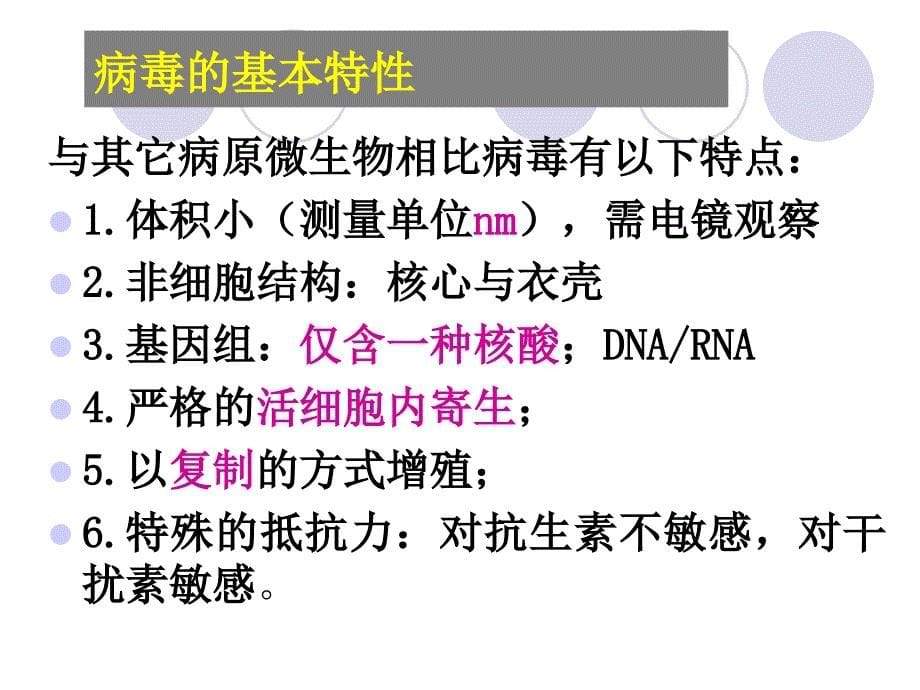 一、病毒的基本性状_第5页