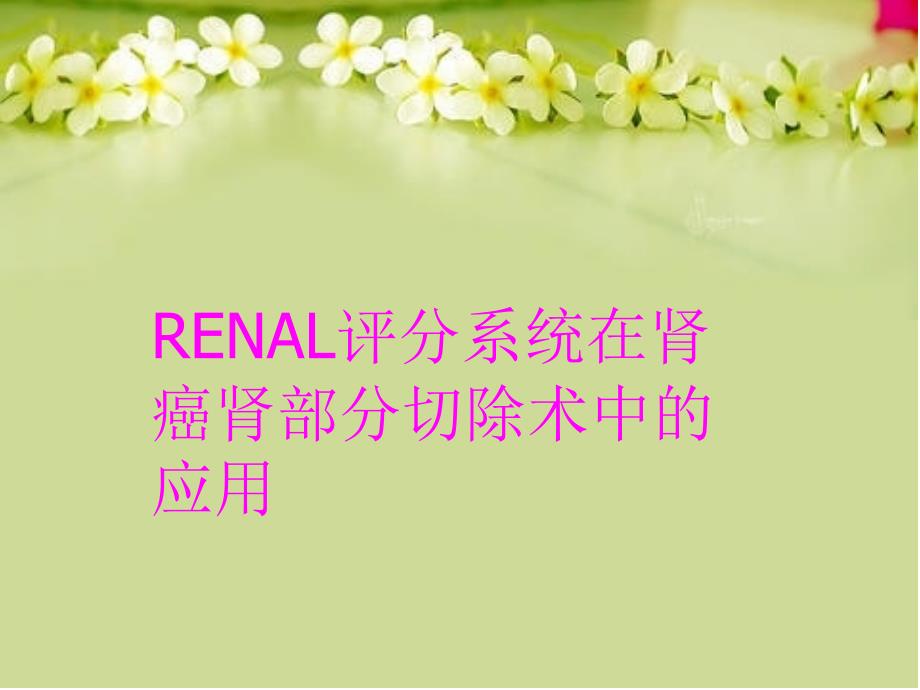 RENAL评分系统在肾癌肾部分切除术中的应用教学文案_第1页