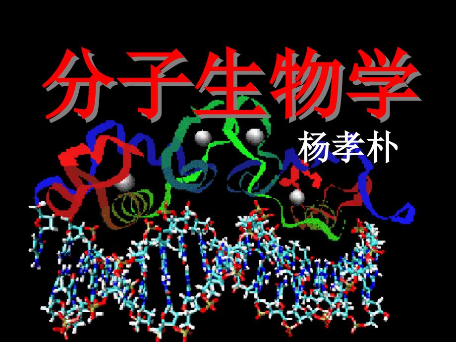 分子生物学20033_第1页