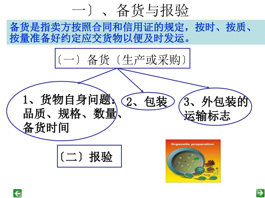 进出口合同的履行_第3页