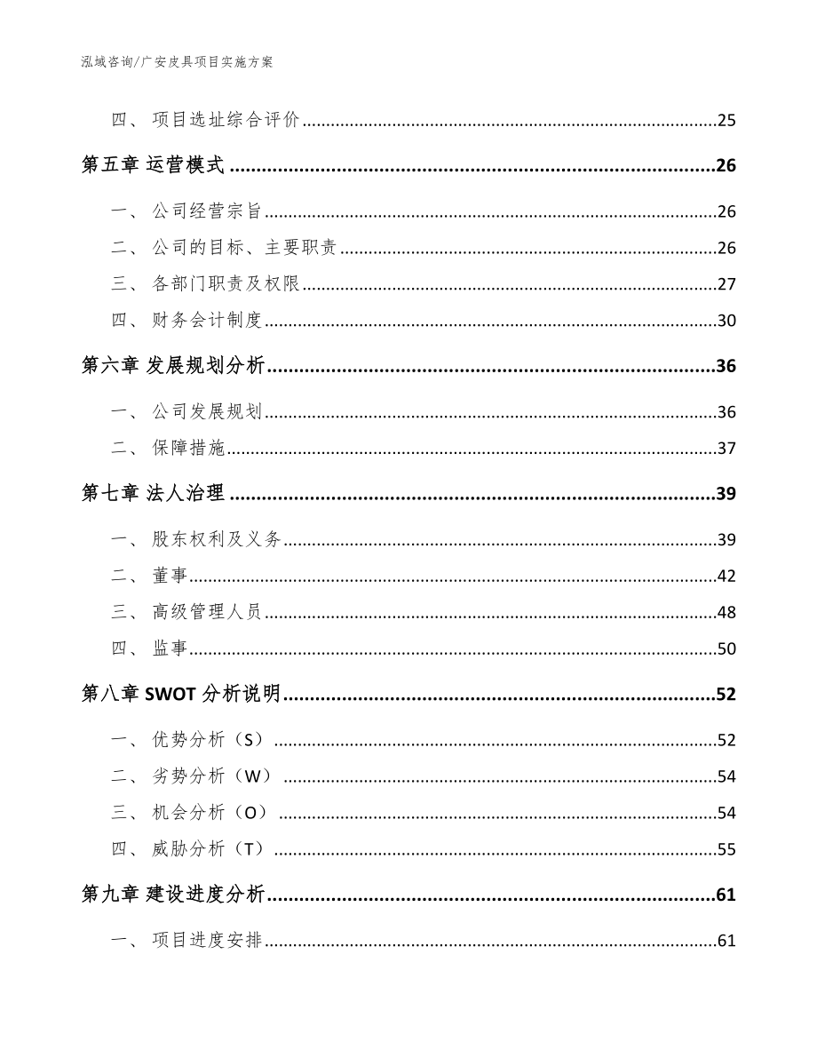 广安皮具项目实施方案_参考模板_第2页