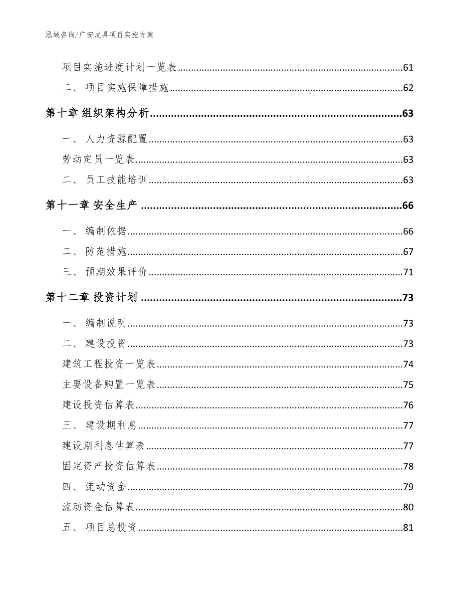 广安皮具项目实施方案_参考模板_第3页