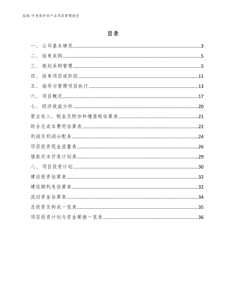 手表保护类产品项目管理报告【参考】_第2页