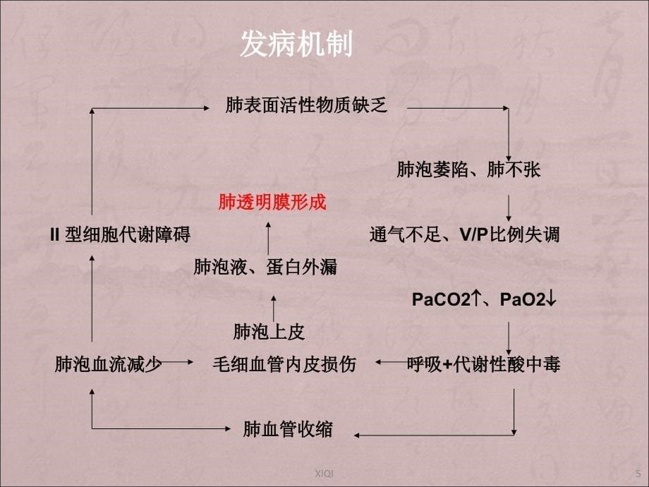 NRDS、ARDS 固尔苏_第5页