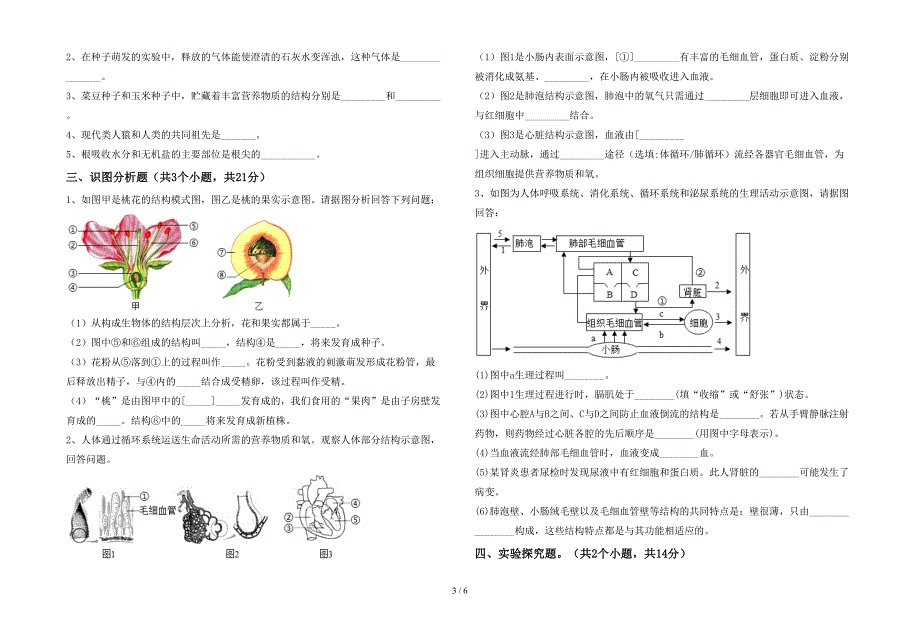2023年七年级生物(上册)期末复习题及答案.doc_第3页