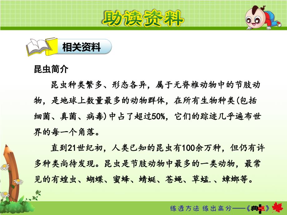 部编语文二年级下册《我是一只小虫子》教学资源----11.我是一只小虫子【第1课时】课件_第4页