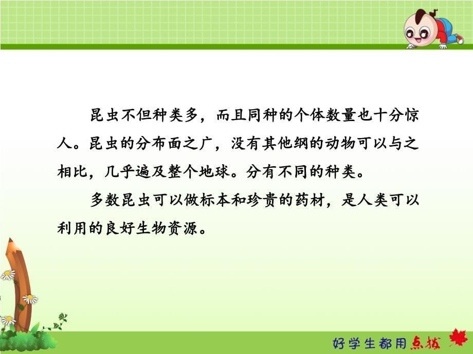 部编语文二年级下册《我是一只小虫子》教学资源----11.我是一只小虫子【第1课时】课件_第5页