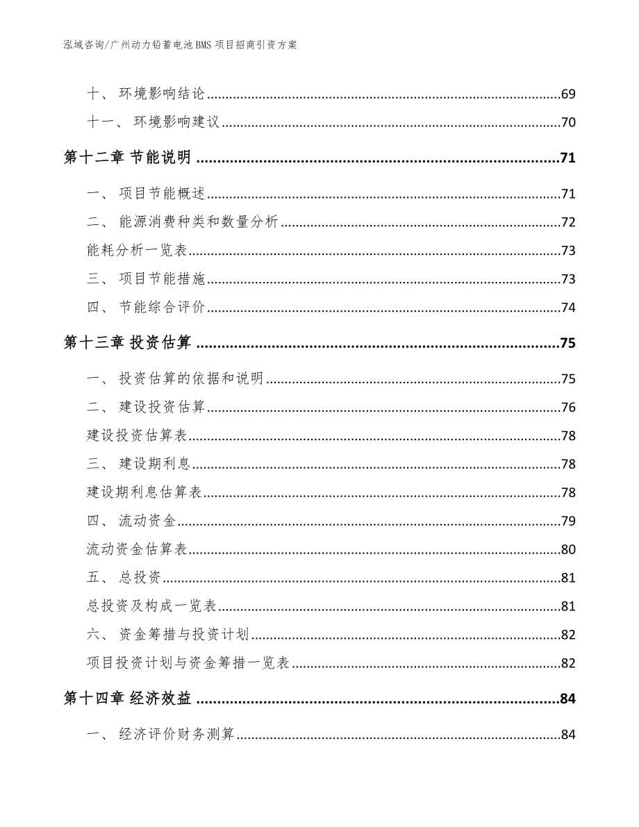 广州动力铅蓄电池BMS项目招商引资方案_第5页