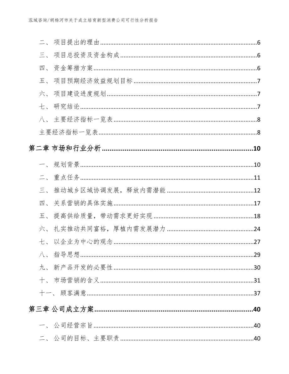 胡杨河市关于成立培育新型消费公司可行性分析报告【范文模板】_第2页