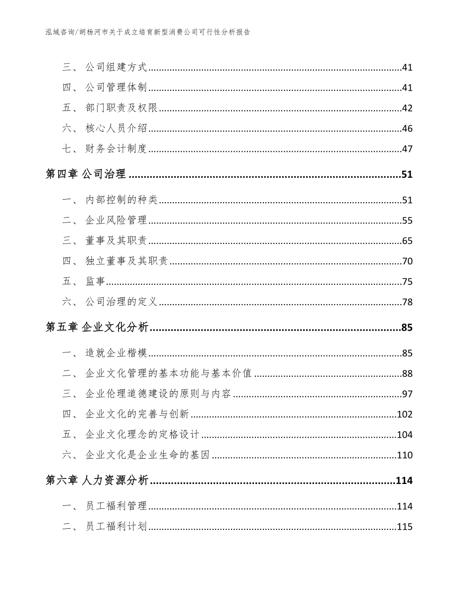 胡杨河市关于成立培育新型消费公司可行性分析报告【范文模板】_第3页