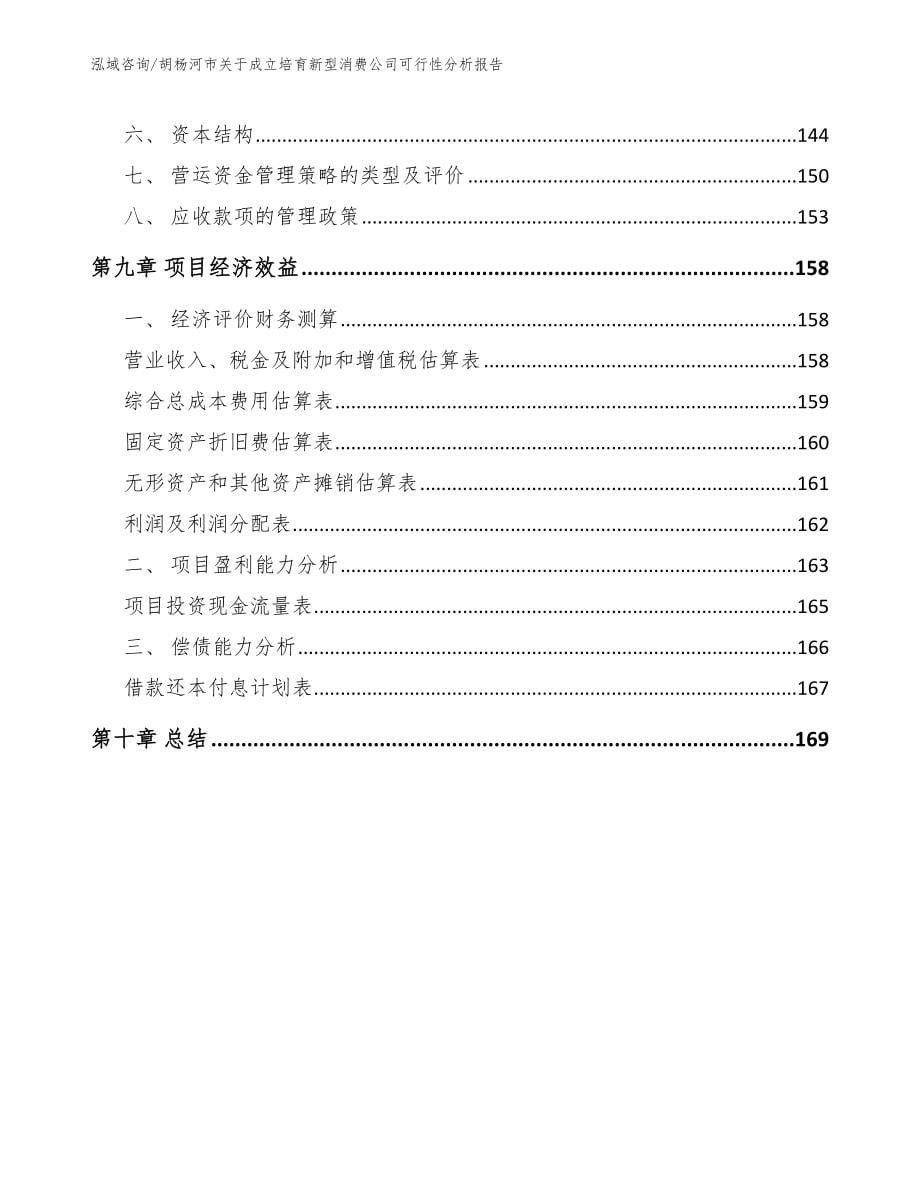 胡杨河市关于成立培育新型消费公司可行性分析报告【范文模板】_第5页