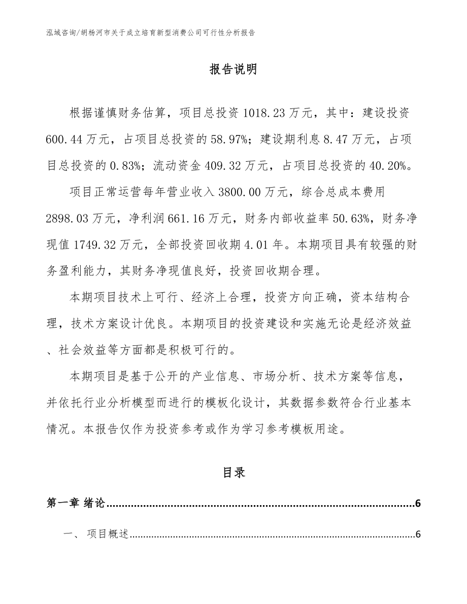 胡杨河市关于成立培育新型消费公司可行性分析报告【范文模板】