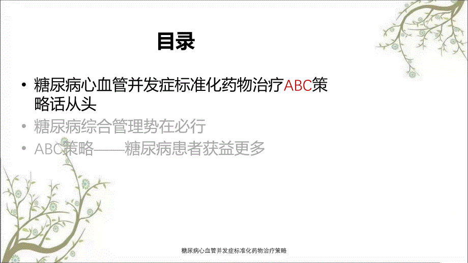 糖尿病心血管并发症标准化药物治疗策略_第2页